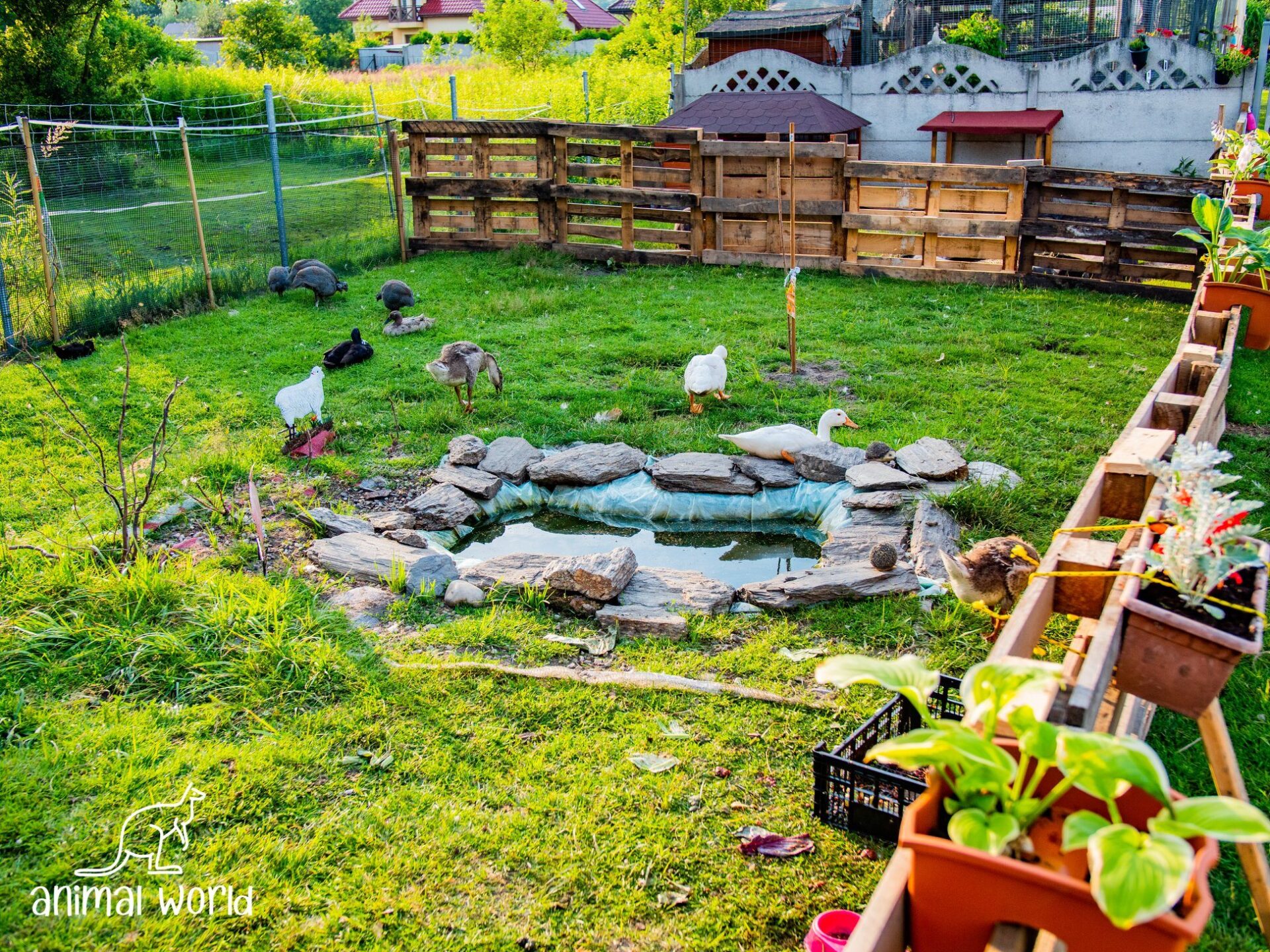 Mini zoo Animal World pomysł na weekend w Zabrzu Zabrze24.info