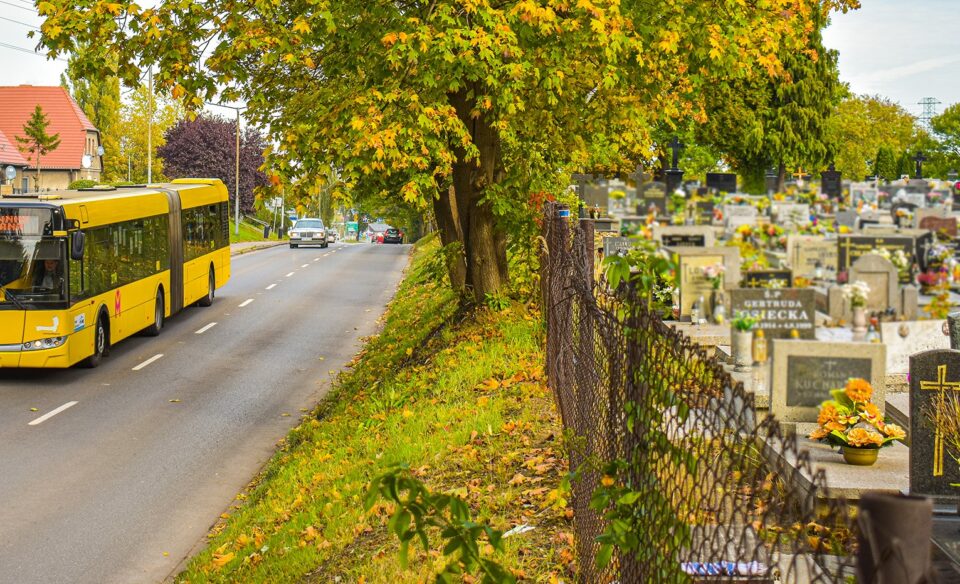 Zmiany, zmiany, jak co roku zmiany… Już od 29 października część linii obsługiwana będzie większymi pojazdami, a dzień później na ulicach śląskich i zagłębiowskich miast pojawią się linie specjalne. Z kolei 1 listopada z autobusów, tramwajów będzie można korzystać za darmo.