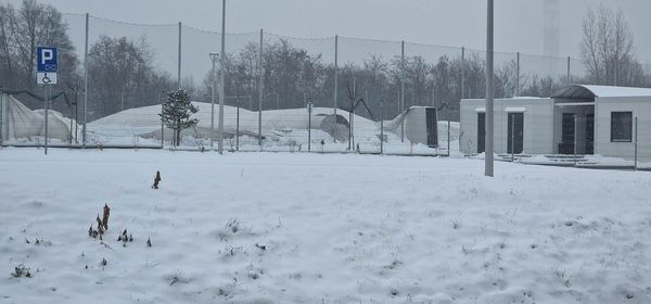 Zalegający śnieg był główną przyczyną katastrofy budowalnej zadaszonego boiska przy ul. Rataja – potwierdziła to ekspertyza. Jak ustaliliśmy, przy prawidłowym użytkowaniu, śniegu nie powinno być na kopule miejskiego obiektu.