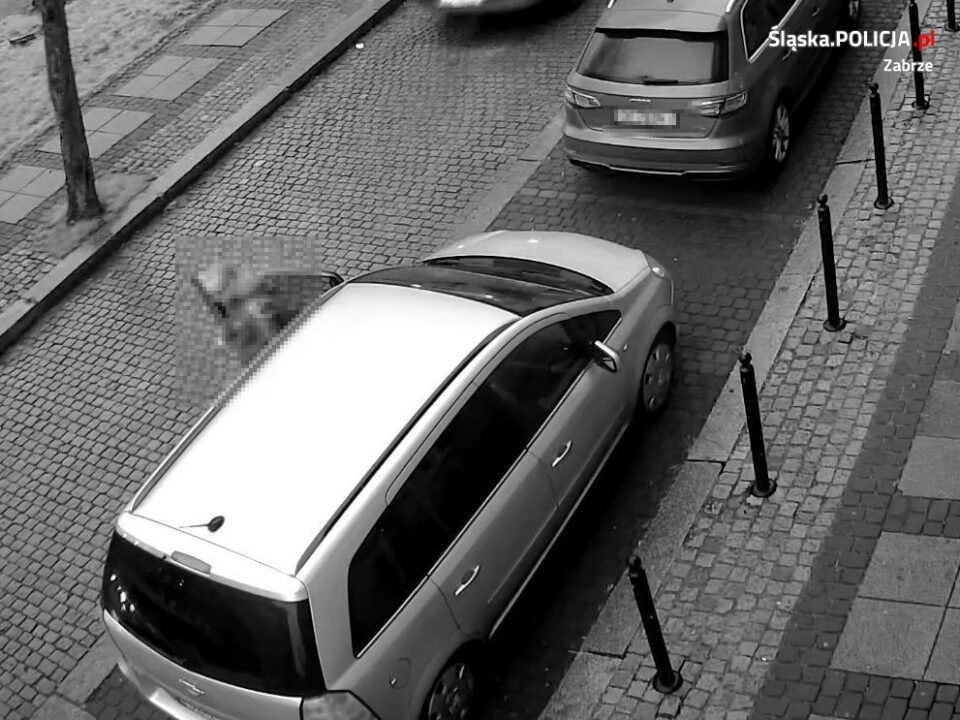 Policjanci szukają kierowcy opla, który podczas parkowania uszkodził samochód marki renault. Kolizja miała miejsce na Placu Krakowskim w Zabrzu, 24 listopada ok. godz. 15.00. Kierowca opla powinien się skontaktować z zabrzańską komendą policji. Jeśli tego nie zrobi, zostanie udostępniony jego wizerunek.