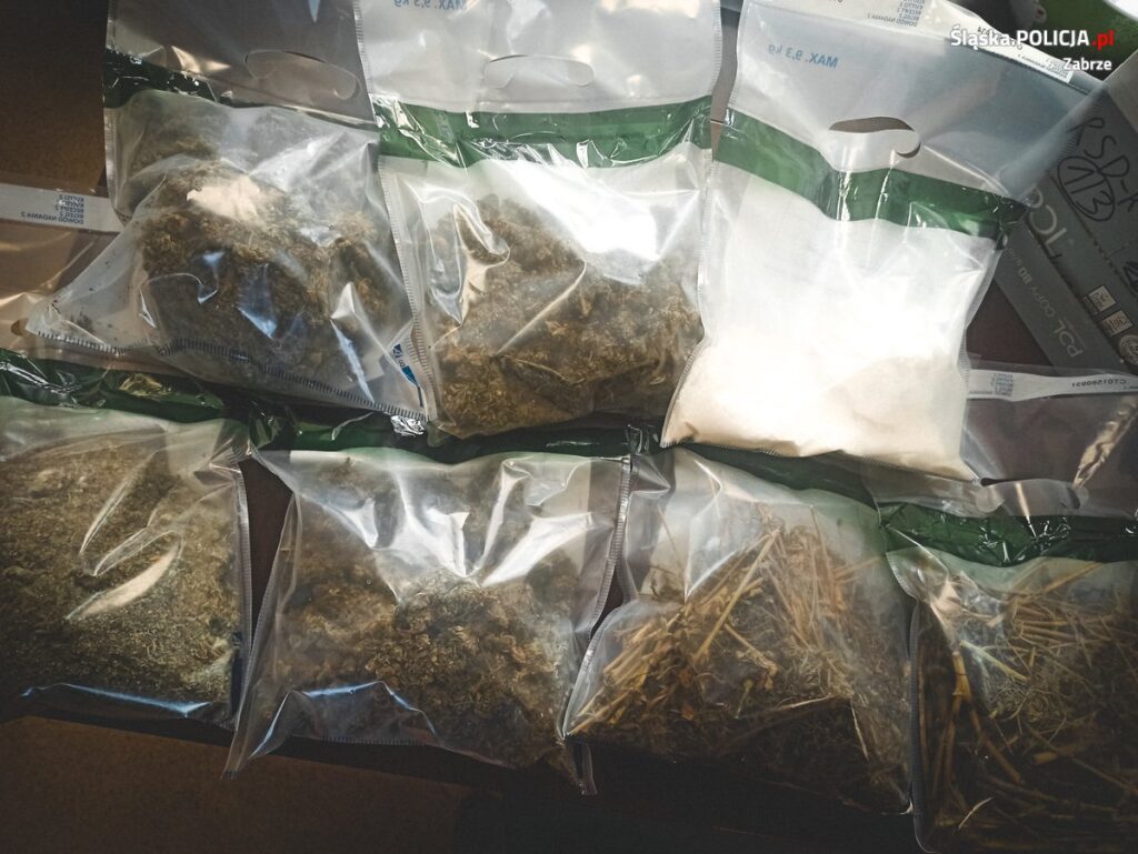 Areszt za uprawę marihuany i posiadanie amfetaminy [ZDJĘCIA]