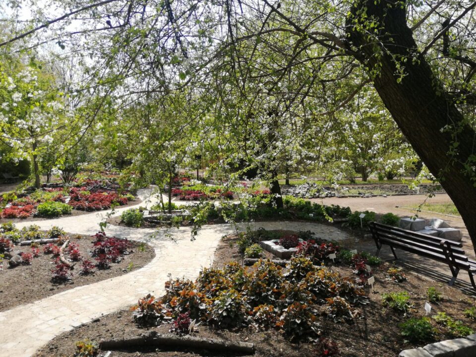 1 maja, o godz. 10:00, sezon rozpoczął Miejski Ogród Botaniczny w Zabrzu. Ogród będzie otwarty codziennie od godz. 10:00 do 18:00 (w wakacje od 9:00 do 18:00) aż do końca października.