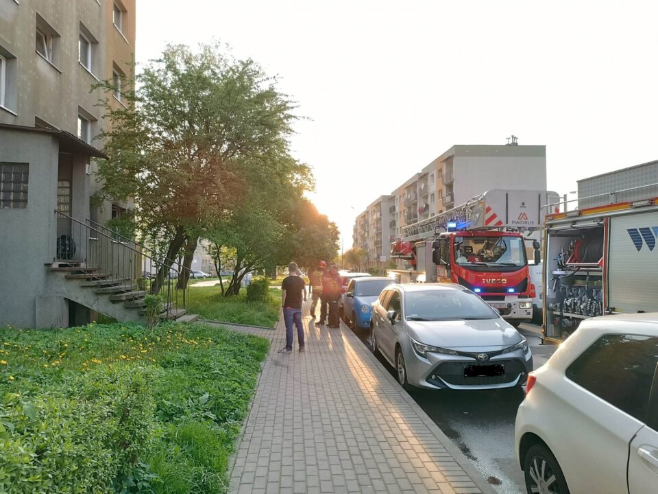 Do pożaru mieszkania na ul. Leszczynowej 7 doszło pomiędzy godz. 18.00, a 19.00. Ogień rozprzestrzeniał się w jednym z pokoi lokalu na parterze. Na miejsce przyjechały trzy jednostki straży pożarnej i policja.