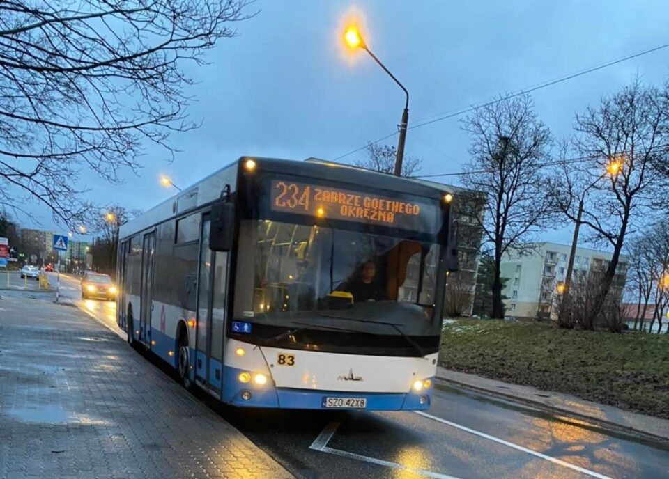 Pomysł zastąpienia linii autobusowej 234 linią nr 15 jadącą do Bytomia wywołał sprzeciw i oburzenie wśród wielu mieszkańców Zabrza, a szczególnie dzielnic Zaborze Północ i Poremba. To pokłosie trwających konsultacji społecznych dotyczących zmian w obsłudze i w ofercie przewozowej, których celem jest zmniejszenie liczby autobusów, mających postój przy placu Dworcowym, czyli poza tak zwanym nowym centrum przesiadkowym.