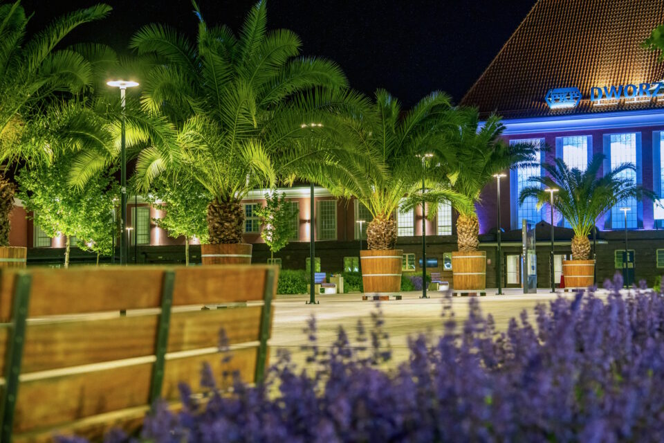 Klimat jak na południu Włoch, czy Hiszpanii albo jak w Palm City na Florydzie. W najważniejszych miejscach Gliwic ulice i place zdobią palmy. Jak widać na zdjęciach, tak niewiele trzeba, żeby przestrzeń miasta stała się jeszcze piękniejsza i bardziej przyjazna dla mieszkańców.