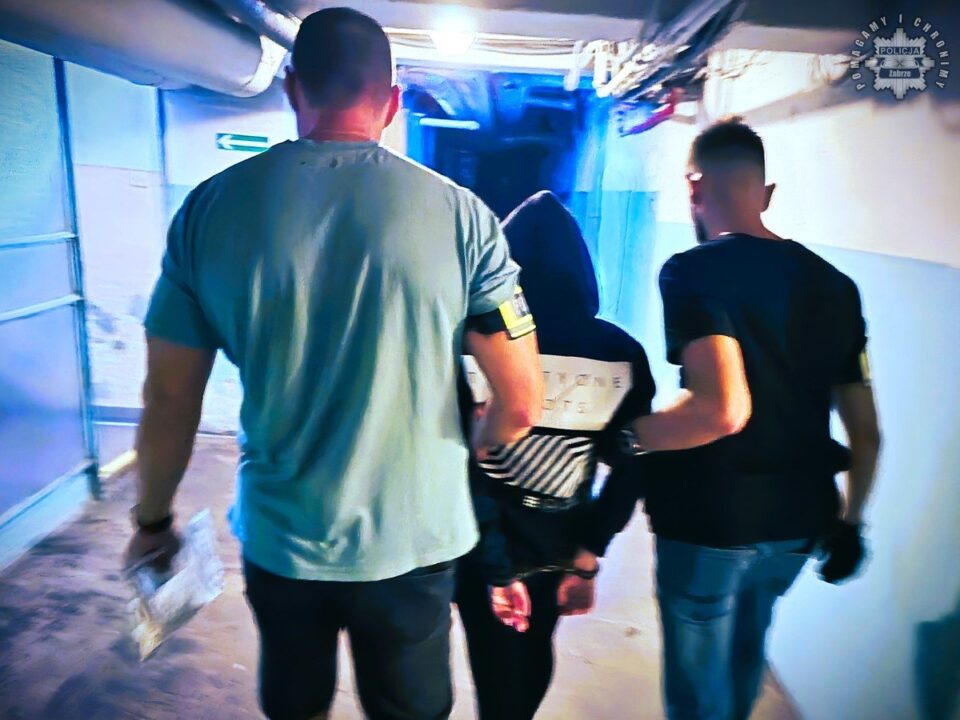 36 letnia zabrzanka znęcała się nad swoim 36 letnim partnerem i dwójką dzieci. Przemoc w rodzinie miała miejsce od co najmniej miesiąca. Kobieta nie przyznaje się do winy.