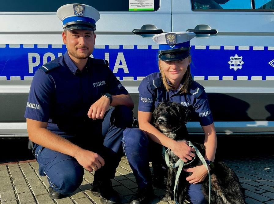 Codzienna praca policjantów to nie tylko zapewnianie bezpieczeństwa mieszkańcom i pilnowanie porządku. Policjanci często niosą pomoc także tym, którzy sami nie potrafią jej sobie zapewnić – w tym zwierzętom. Tak było w Zabrzu, gdzie mundurowi z drogówki uratowali psa błąkającego się po ruchliwej ulicy.