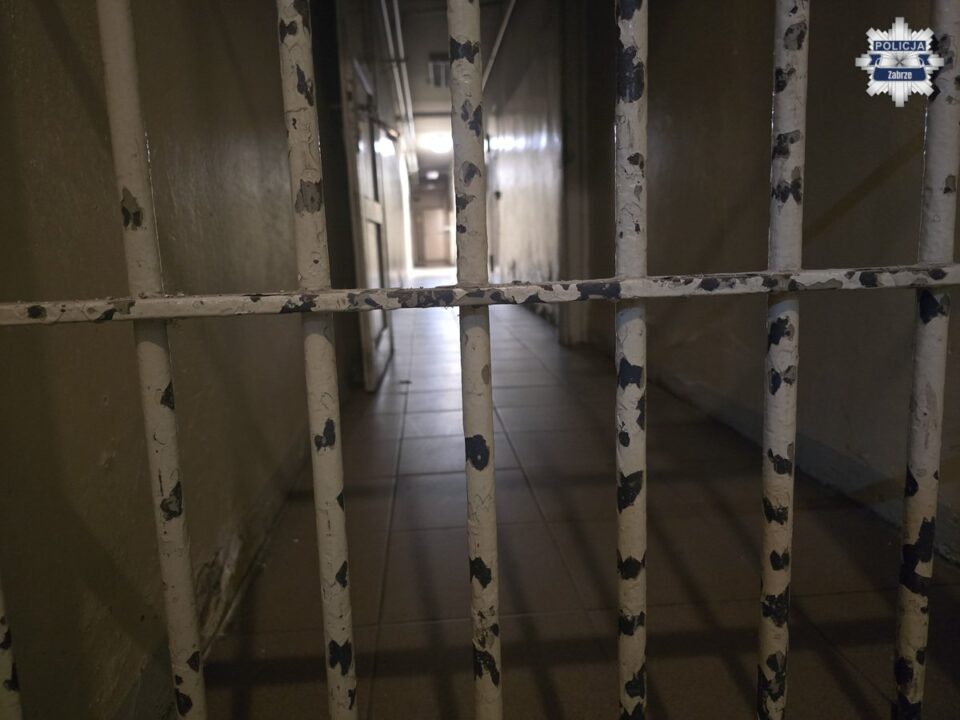 18 letni oprawca z Zabrza, najbliższe trzy miesiące spędzi w areszcie śledczym. Mężczyzna został zatrzymany przez policjantów z Komisariat III Policji w Zabrzu po serii zgłoszeń dotyczących przemocy domowej. Śledczy zarzucają mu znęcanie się psychiczne nad rodzicami oraz psychiczne i fizyczne nad siostrami. Usłyszał także zarzut kierowania gróźb karalnych, w tym gróźb pozbawienia życia wobec małoletniego syna jednej z sióstr.