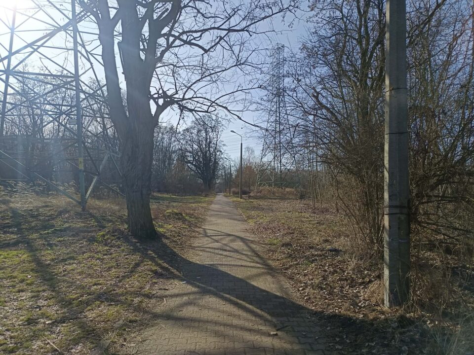 Niepokojące informacje obiegły media społecznościowe po wpisie jednej z mieszkanek Zabrza. Kobieta poinformowała o zdarzeniu, do którego miało dojść na przejściu przez cmentarz w dzielnicy Zaborze – pomiędzy ulicami Skargi, a Korczoka. Sprawą zajmuje się policja.