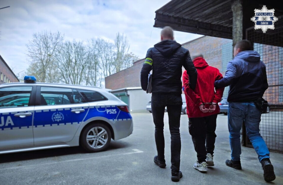 Nietypowy finał kontroli drogowej w Zabrzu. Policjanci z Zespołu Wywiadowców zatrzymali 35-letniego mężczyznę, który nie tylko stwarzał zagrożenie na drodze, ale jak się później okazało – ukrywał w domu pokaźne zapasy marihuany. Piratowi drogowemu z Zabrza grozi teraz nawet 10 lat więzienia.