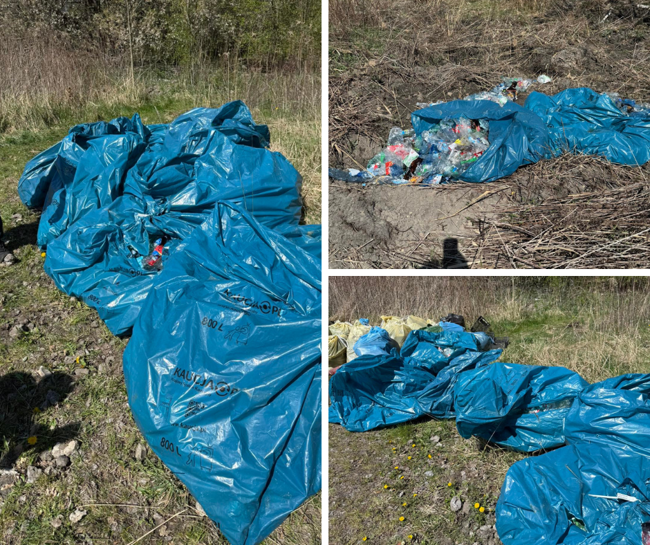 To miał być standardowy finał akcji sprzątania dzielnicy, a skończyło się policyjnym dochodzeniem. Przedstawiciele Rady Dzielnicy Makoszowy podczas porządkowania terenów zielonych natknęli się na nietypowe znalezisko: stertę porzuconych worków z plombami systemu kaucyjnego. Jak się okazało, były to ślady zuchwałej kradzieży spod jednego z lokalnych marketów.