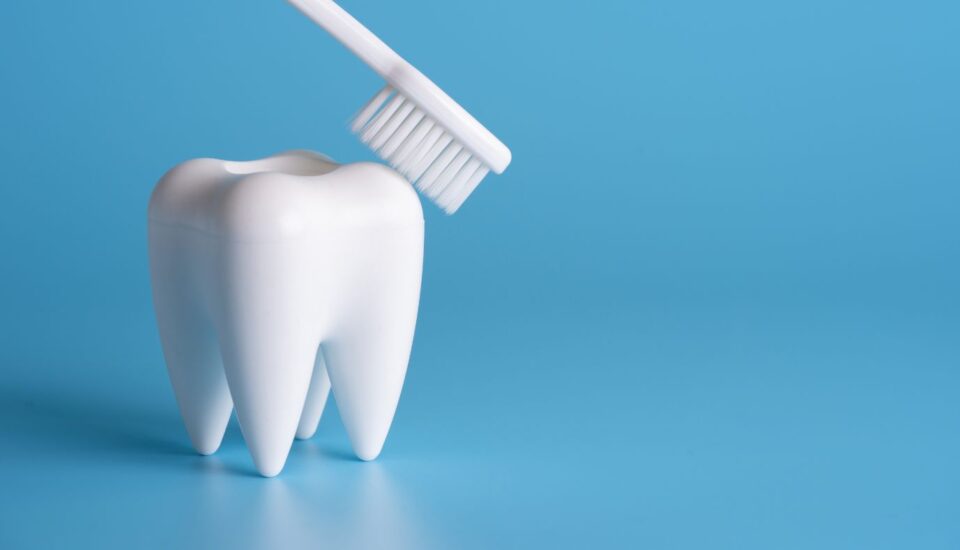 Proteza overdenture na implantach pozostaje protezą wyjmowaną, ale implanty zwiększają jej retencję i stabilność w jamie ustnej. Najlepiej udokumentowaną poprawę obserwuje się u osób z całkowicie bezzębną żuchwą, którym klasyczna proteza dolna nie zapewnia odpowiedniego komfortu podczas jedzenia i mówienia. Nie oznacza to jednak, że overdenture jest rozwiązaniem wyłącznie dla żuchwy ani że u każdego pacjenta stosuje się tę samą liczbę implantów. Najważniejsze wnioski Overdenture to wyjmowana proteza, którą implanty pomagają stabilizować. Najlepiej udokumentowane korzyści dotyczą dwóch implantów w bezzębnej żuchwie. Liczba implantów zależy od szczęki lub żuchwy, kości, anatomii i planowanej konstrukcji. Proteza wymaga codziennej higieny, kontroli i okresowego serwisu. Proteza na implantach typu overdenture – co to jest i jak działa? Overdenture to ruchome uzupełnienie protetyczne, którego utrzymanie wspierają implanty wszczepione w kość szczęki lub żuchwy. Proteza na implantach - to jest właśnie wariant overdenture oparty na implantach. Implant stomatologiczny tworzy stabilny punkt podparcia i retencji, ale samo zastosowanie implantów nie oznacza jeszcze, że odbudowa będzie stała. Proteza może łączyć się z implantami na kilka sposobów. Stosuje się między innymi system Locator, zaczep kulowy albo belkę retencyjną. Element znajdujący się przy implancie łączy się z odpowiadającą mu matrycą protezy, co poprawia jej utrzymanie podczas żucia i mówienia. Nie ma jednego rodzaju mocowania, który byłby najlepszy w każdej sytuacji. Implanty są najczęściej wykonywane z tytanu, natomiast sama praca protetyczna może wykorzystywać różne materiały protetyczne zależnie od projektu. Może także odtwarzać nie tylko zęby, lecz również utracone tkanki określane potocznie jako sztuczne dziąsło. Najważniejszą różnicą względem tradycyjnej protezy jest sposób stabilizacji, a nie sam wygląd uzupełnienia. Proteza ruchoma a proteza stała na implantach – gdzie jest różnica? Proteza overdenture jest wyjmowana przez pacjenta. Proteza stała, na przykład pełnołukowy most protetyczny, pozostaje natomiast zamocowana w jamie ustnej i pacjent nie zdejmuje jej samodzielnie. To dwa różne typy odbudowy, mimo że oba mogą wykorzystywać implanty stomatologiczne. Przykładem rozwiązania stałego jest All-on-4; istnieją również konstrukcje określane jako All-on-6. Różnią się one od overdenture między innymi sposobem mocowania, higieną, liczbą i rozmieszczeniem implantów oraz zakresem pracy protetycznej. Samo oczekiwanie stałych zębów nie przesądza jednak o możliwości zastosowania konkretnej metody. Komu proteza overdenture daje realną poprawę stabilności i żucia? Najmocniejsze dane dotyczą osób z całkowitym bezzębiem żuchwy, które mają problem ze stabilnością klasycznej protezy dolnej. Przeglądy systematyczne i metaanalizy badań klinicznych wskazują, że overdenture oparta na dwóch implantach może poprawić satysfakcję z leczenia, jakość życia związaną ze zdrowiem jamy ustnej oraz funkcję żucia. Dwa implanty w żuchwie są dobrze udokumentowanym wariantem leczenia, ale nie stanowią obowiązkowego schematu dla każdego pacjenta. To, jak duża będzie realna zmiana, zależy od problemu wyjściowego. Osoba, której tradycyjna proteza przemieszcza się przy jedzeniu lub mówieniu, może odczuć większą korzyść niż pacjent, który już dobrze funkcjonuje w klasycznym uzupełnieniu. Sytuacja pacjenta Co overdenture może poprawić Co trzeba sprawdzić przed decyzją Bezzębna żuchwa i niestabilna proteza Stabilność, żucie, satysfakcję z użytkowania Warunki do implantacji i projekt protezy Proteza przesuwa się podczas mówienia Retencję i utrzymanie protezy Rodzaj mocowania i rozmieszczenie implantów Bezzębna szczęka i problem z płytą podniebienną W wybranych konstrukcjach możliwość ograniczenia płyty Liczbę i pozycję implantów oraz konstrukcję protezy Oczekiwanie niewyjmowanych zębów Overdenture może nie odpowiadać tej preferencji Możliwość zastosowania stałej rekonstrukcji Najbardziej przewidywalna przewaga overdenture nad zwykłą protezą dotyczy stabilizacji bezzębnej żuchwy. W przypadku szczęki oraz bardziej złożonych oczekiwań decyzja wymaga szerszej oceny warunków anatomicznych i możliwości wykonania konkretnej konstrukcji. Implanty zmieniają sposób przenoszenia części sił żucia, ale nie oznacza to całkowitego zatrzymania procesów przebudowy kości. Zanik kości wyrostka zębodołowego może postępować również po wykonaniu uzupełnienia na implantach, dlatego nie należy traktować overdenture jako metody gwarantującej zatrzymanie zaniku kości. Liczba implantów, warunki kostne i tomografia CBCT – od czego zależy kwalifikacja? Liczby implantów nie ustala się wyłącznie na podstawie nazwy protezy. Lekarz ocenia miejsce planowanego leczenia, dostępną kość, anatomię oraz przyszłą konstrukcję protetyczną. Plan leczenia zależy również od rozmieszczenia implantów i stanu zdrowia pacjenta, a nie tylko od ich liczby. Tomografia CBCT, czyli tomografia stożkowa, pozwala przestrzennie ocenić warunki kostne oraz ważne struktury anatomiczne w miejscu planowanej implantacji. Przy kwalifikacji na implanty zębowe w Gliwicach zakres diagnostyki dobiera się do konkretnej sytuacji klinicznej. Niedostateczna ilość kości nie oznacza automatycznie, że implantacji nie można wykonać, ani że w każdym przypadku konieczny jest przeszczep kości. Znaczenie ma też stan ogólny. Palenie tytoniu wiąże się z większym ryzykiem niepowodzenia implantologicznego, natomiast przy cukrzycy istotna jest między innymi kontrola metaboliczna. Ani palenie, ani cukrzyca nie dają jednak same w sobie prostej odpowiedzi „kwalifikuje się” albo „nie kwalifikuje się”. Szczęka a żuchwa – dlaczego liczba implantów nie jest taka sama? W przypadku całkowicie bezzębnej żuchwy overdenture na dwóch implantach jest dobrze przebadanym wariantem. W szczęce sytuacja jest mniej jednoznaczna, a badania często opisują konstrukcje oparte na co najmniej czterech implantach. Liczby czterech implantów nie należy jednak traktować jako uniwersalnego minimum dla każdego pacjenta. Badania porównujące wybrane górne overdenture na czterech i sześciu połączonych implantach nie wykazały jednoznacznej przewagi większej liczby pod względem przeżycia protezy czy satysfakcji pacjenta. Pokazuje to, że znaczenie ma nie tylko liczba implantów, lecz również ich rozmieszczenie, warunki kostne i sposób zaprojektowania pracy. Osteointegracja i higiena jamy ustnej – jak przebiega leczenie protezą na implantach? Leczenie overdenture jest procesem obejmującym etap chirurgiczny i protetyczny. Osteointegracja oznacza biologiczne połączenie powierzchni implantu z kością. Rzeczywisty harmonogram zależy od warunków biologicznych, miejsca implantacji i przyjętego protokołu, dlatego nie ma jednego czasu leczenia właściwego dla każdego pacjenta. Konsultacja i diagnostyka służą ocenie jamy ustnej, warunków kostnych i ogólnej możliwości leczenia implantologicznego. Powstaje plan rozmieszczenia implantów oraz konstrukcji przyszłej protezy. Implantacja polega na umieszczeniu zaplanowanych implantów w kości. Następuje gojenie oraz osteointegracja, czyli integracja implantu z kością. Po odpowiednim etapie leczenia wykonuje się wycisk protetyczny lub skan i przygotowuje pracę protetyczną. Gotowa proteza zostaje osadzona i dopasowana, a pacjent otrzymuje instrukcje dotyczące higieny oraz kontroli. W odpowiednio kwalifikowanych przypadkach możliwe jest natychmiastowe obciążenie implantów, ale nie stanowi ono gwarantowanego elementu leczenia overdenture. Nie jest też tym samym co proteza natychmiastowa, czyli ruchome uzupełnienie zakładane bezpośrednio po usunięciu zębów. Proteza tymczasowa, proteza natychmiastowa i natychmiastowe obciążenie implantu opisują różne etapy lub rozwiązania i nie powinny być stosowane zamiennie. Po zakończeniu leczenia znaczenie ma higiena jamy ustnej. Overdenture można zdjąć, dzięki czemu uzyskujesz dostęp do protezy oraz okolic implantów, ale nie zwalnia to z dokładnego oczyszczania i kontroli. Biofilm wokół implantów może sprzyjać zapaleniu tkanek, a bardziej zaawansowana choroba określana jako periimplantitis wiąże się również z utratą kości podtrzymującej implant. Elementy systemu mocującego pracują podczas codziennego użytkowania. Z czasem mogą tracić retencję i wymagać regulacji lub wymiany, dlatego overdenture nie jest rozwiązaniem całkowicie bezobsługowym. Kontrole obejmują nie tylko samą protezę, lecz również implanty, tkanki wokół nich i elementy odpowiedzialne za jej stabilność. W SAW-DENTAL, działającym jako gabinet stomatologiczny w Gliwicach, proteza overdenture na implantach jest jedną z dostępnych opcji leczenia; możliwość jej zastosowania wymaga indywidualnej kwalifikacji. Najczęściej zadawane pytania Czy górna proteza na implantach zawsze ma podniebienie? Nie. W odpowiednio zaplanowanej górnej overdenture można ograniczyć lub wyeliminować płytę podniebienną. Możliwość wykonania takiej konstrukcji zależy między innymi od liczby i rozmieszczenia implantów oraz projektu protezy. Czy proteza overdenture na implantach jest refundowana przez NFZ? Nie należy utożsamiać implantowej overdenture ze świadczeniem NFZ o podobnej nazwie. W wykazie świadczeń występują protezy overdenture oparte na zabezpieczonych, wcześniej leczonych korzeniach zębów, czyli inne rozwiązanie niż proteza stabilizowana implantami. Zakres świadczeń NFZ warto ponownie sprawdzić przed rozpoczęciem leczenia, ponieważ przepisy i zakres refundacji mogą się zmieniać. Czy protezę overdenture trzeba wyjmować do czyszczenia? Tak. Możliwość samodzielnego zdejmowania jest jedną z podstawowych cech overdenture. Dzięki temu łatwiej uzyskać dostęp do protezy i okolic implantów, ale nadal potrzebna jest dokładna higiena oraz regularna kontrola tkanek wokół implantów. Ile kosztuje proteza na implantach? Nie ma jednej ceny protezy overdenture. Koszt zależy między innymi od liczby implantów, rodzaju mocowania, zakresu diagnostyki, dodatkowych procedur oraz konstrukcji wykonanej pracy protetycznej. Dokładny koszt można określić dopiero po ustaleniu konkretnego planu leczenia.